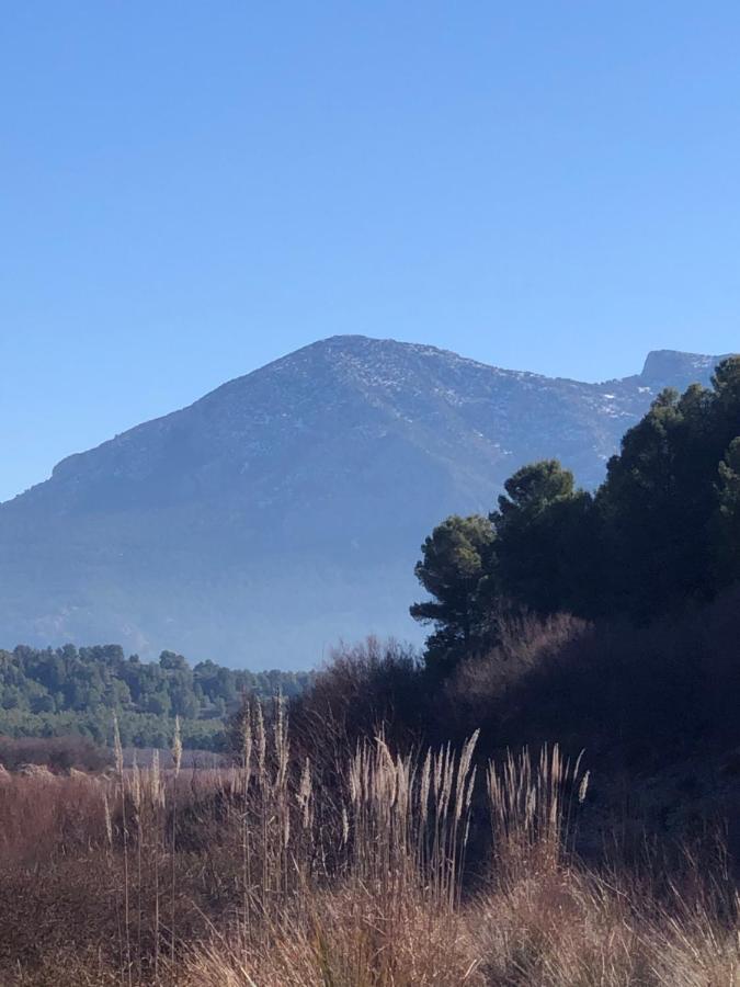 Apartamentos Rurales Mirador Del Negratin Cuevas del Campo المظهر الخارجي الصورة